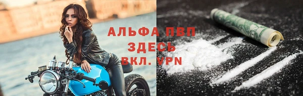 стаф Алзамай