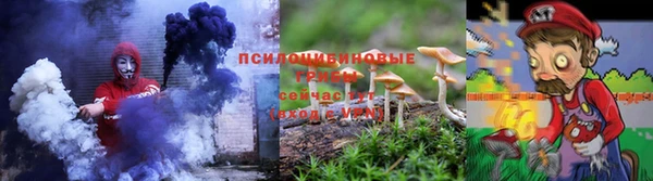 ГАЛЛЮЦИНОГЕННЫЕ ГРИБЫ Алексин