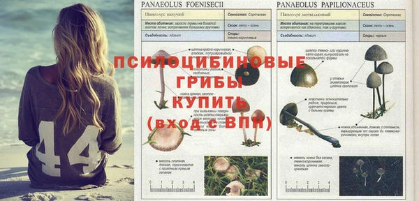винт Абдулино