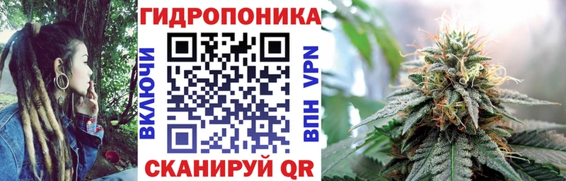 Конопля план  купить наркоту  Чухлома 